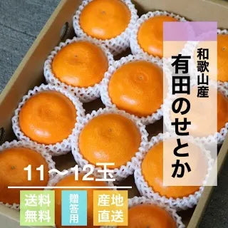 【和歌山産】有田のせとか
