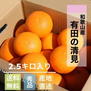 【和歌山産】有田の清見2.5㎏