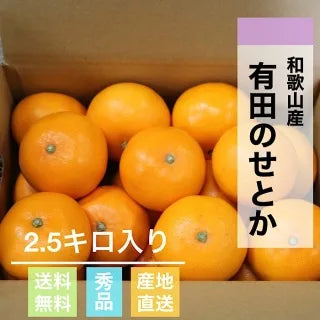 【和歌山産】有田のせとか2.5kg