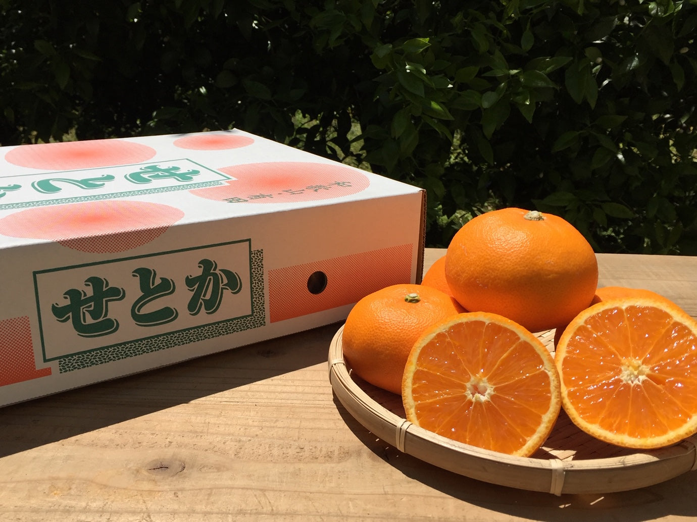 【和歌山産】有田のせとか