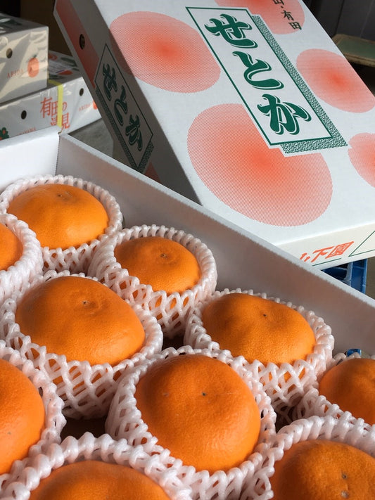 【和歌山産】有田のせとか