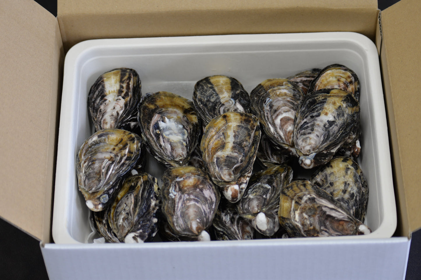 小豆島天領真牡蠣　殻付き・加熱用　30個セット（送料込み）